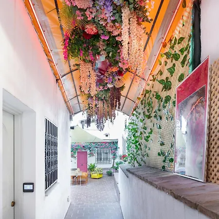 Apartamentos - Pinksparrow - Granada Exterior photo